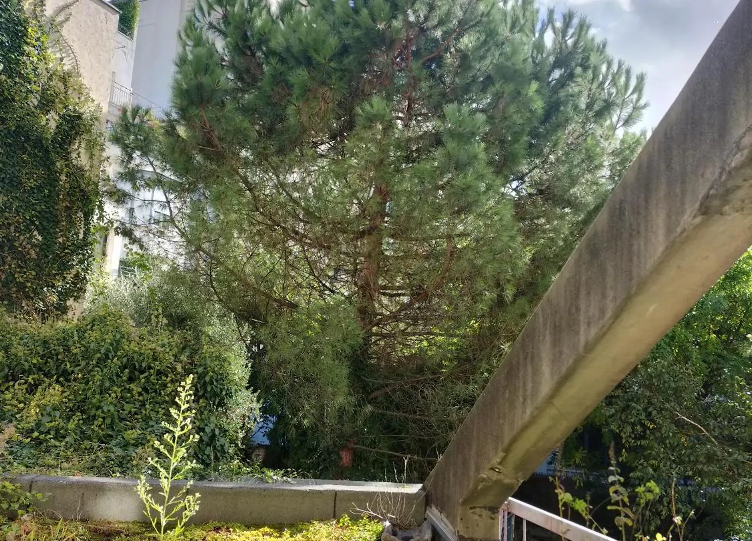 Appartement T3 Lumineux Et Cosy Paris